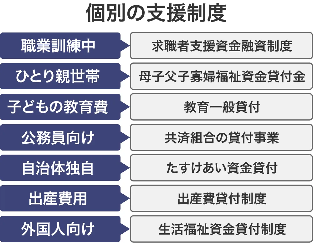 国の個別支援制度